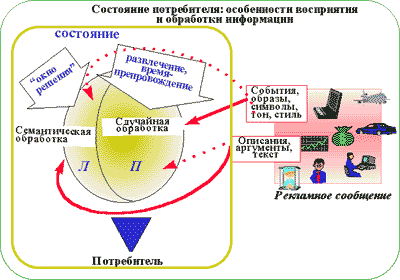 Состояния потребителя: особенности восприятия и обработки информации