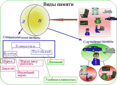 Виды памяти